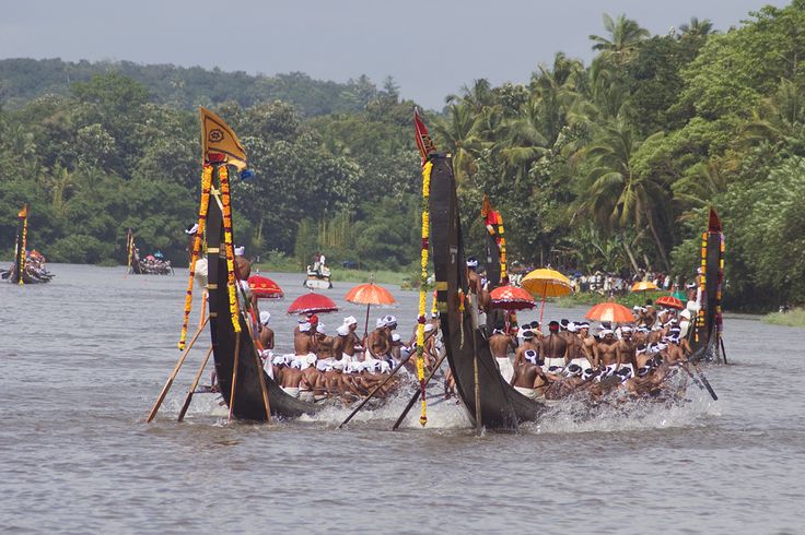 Digital Marketing Academy In Malappuram